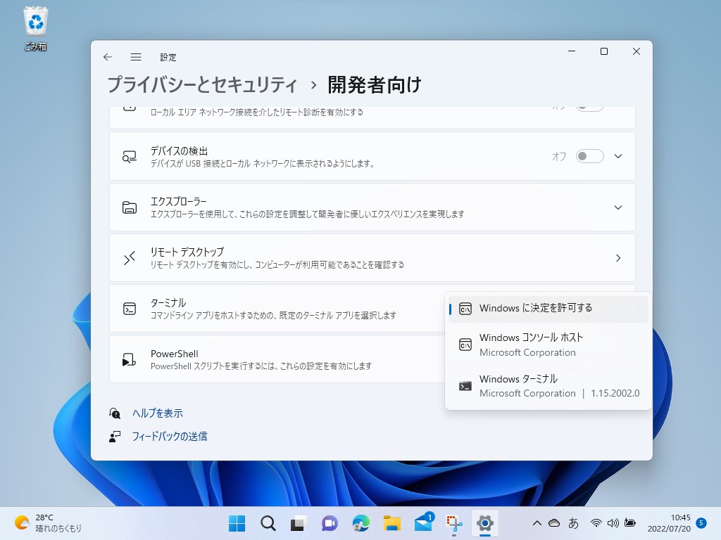 既定のターミナルの設定画面（［プライバシーとセキュリティ］－［開発者向け］セクション）