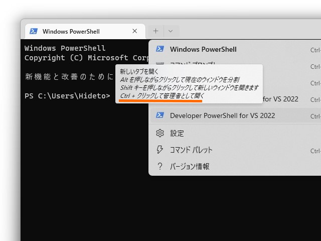 プロファイルのツールチップにはちゃんと書いてありました……