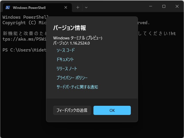 「Windows Terminal Preview」v1.16.252