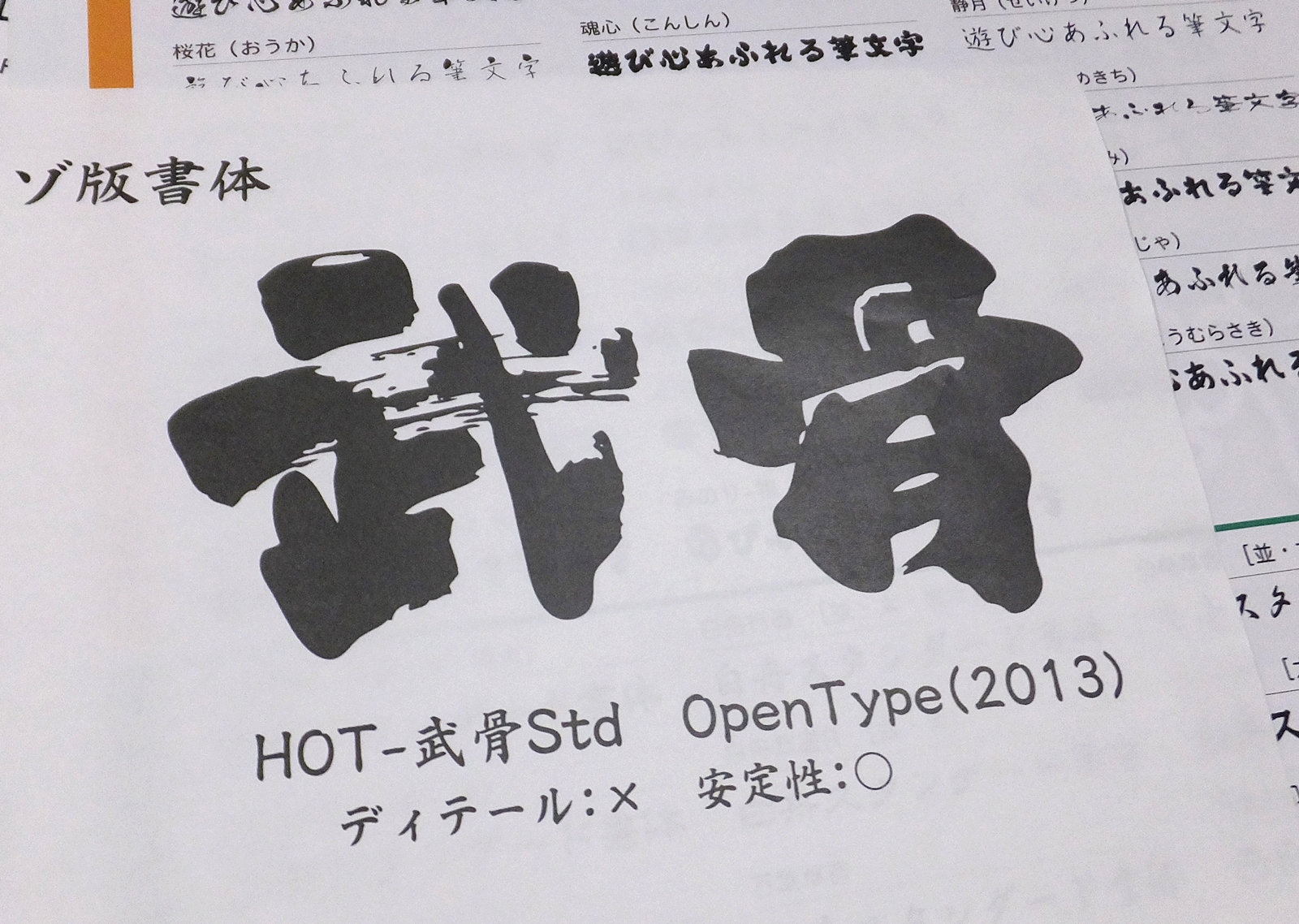 2013年の「HOT-武骨Std OpenType」