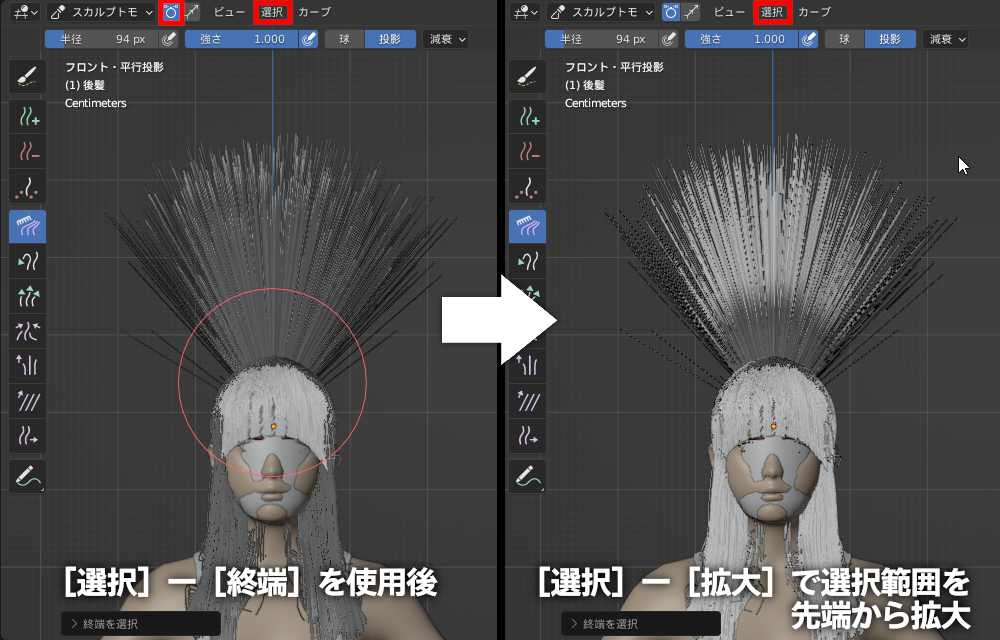 3Dビューポート上側の「選択モード」を「制御点」に変更し、［選択］メニューの［終端］と［拡大］を続けて使用すれば、「根元以外」の部分が選択できる