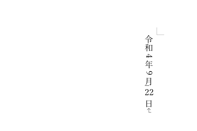 2桁の半角数字が縦方向に回転した
