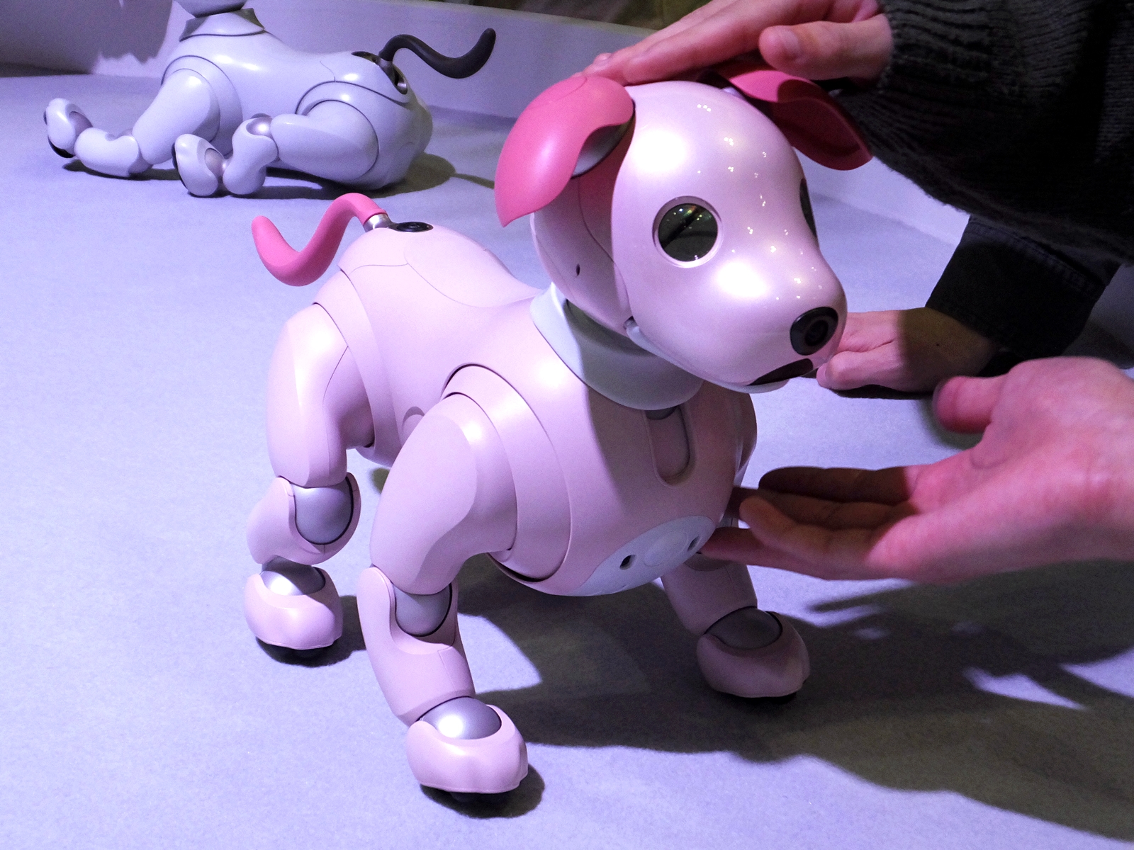 ソニーのエンタテインメントロボット「aibo（アイボ）」