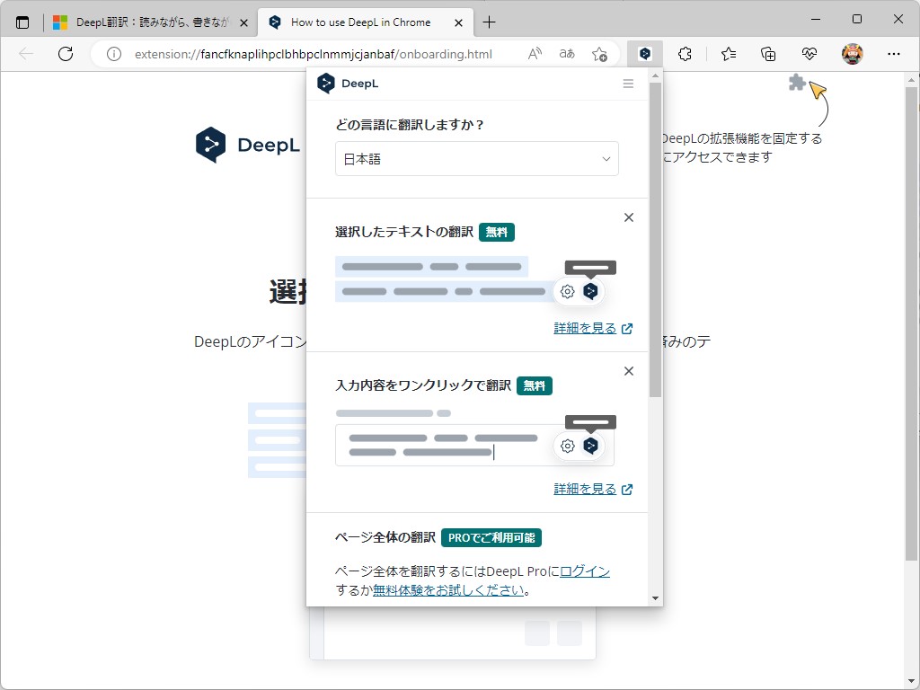 拡張機能のパネル。Webページ全体を翻訳する機能は有償サブスクリプション「DeepL Pro」専用
