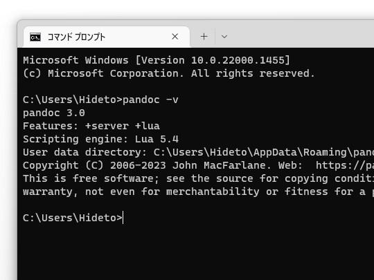 起動オプション「--version」の出力