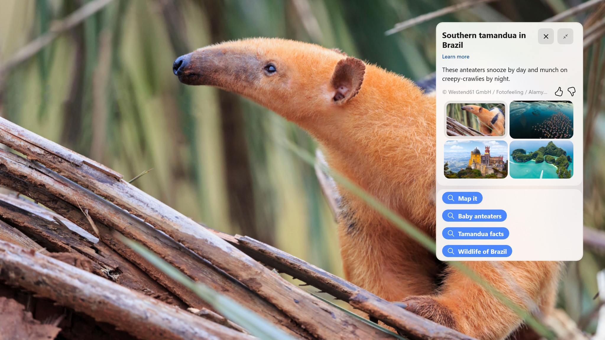 「Windows Spotlight」でテストされるフルスクリーンエクスペリエンス