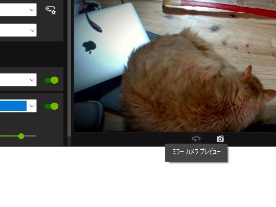 カメラプレビューを操作する2つのボタン。ツールチップも追加