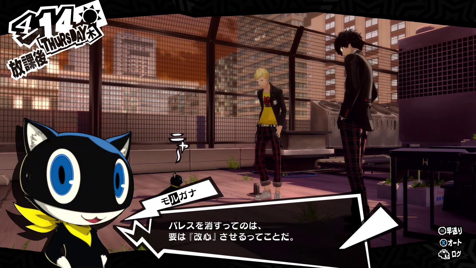 見た目は猫だが知識は豊富なモルガナ