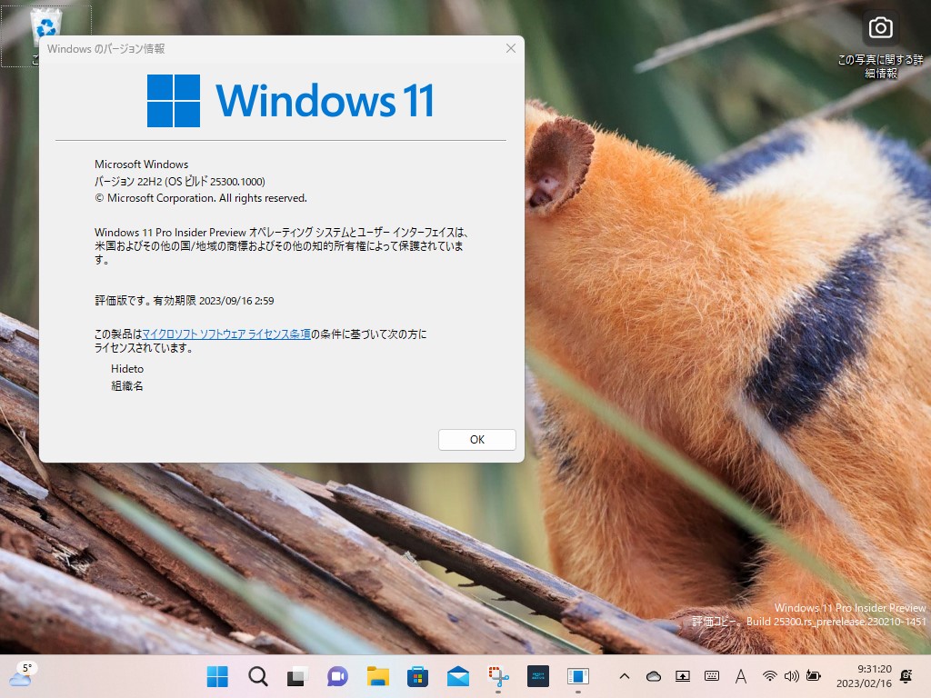 「Windows 11 Insider Preview」Build 25300（rs_prerelease）がDevチャネルでリリース