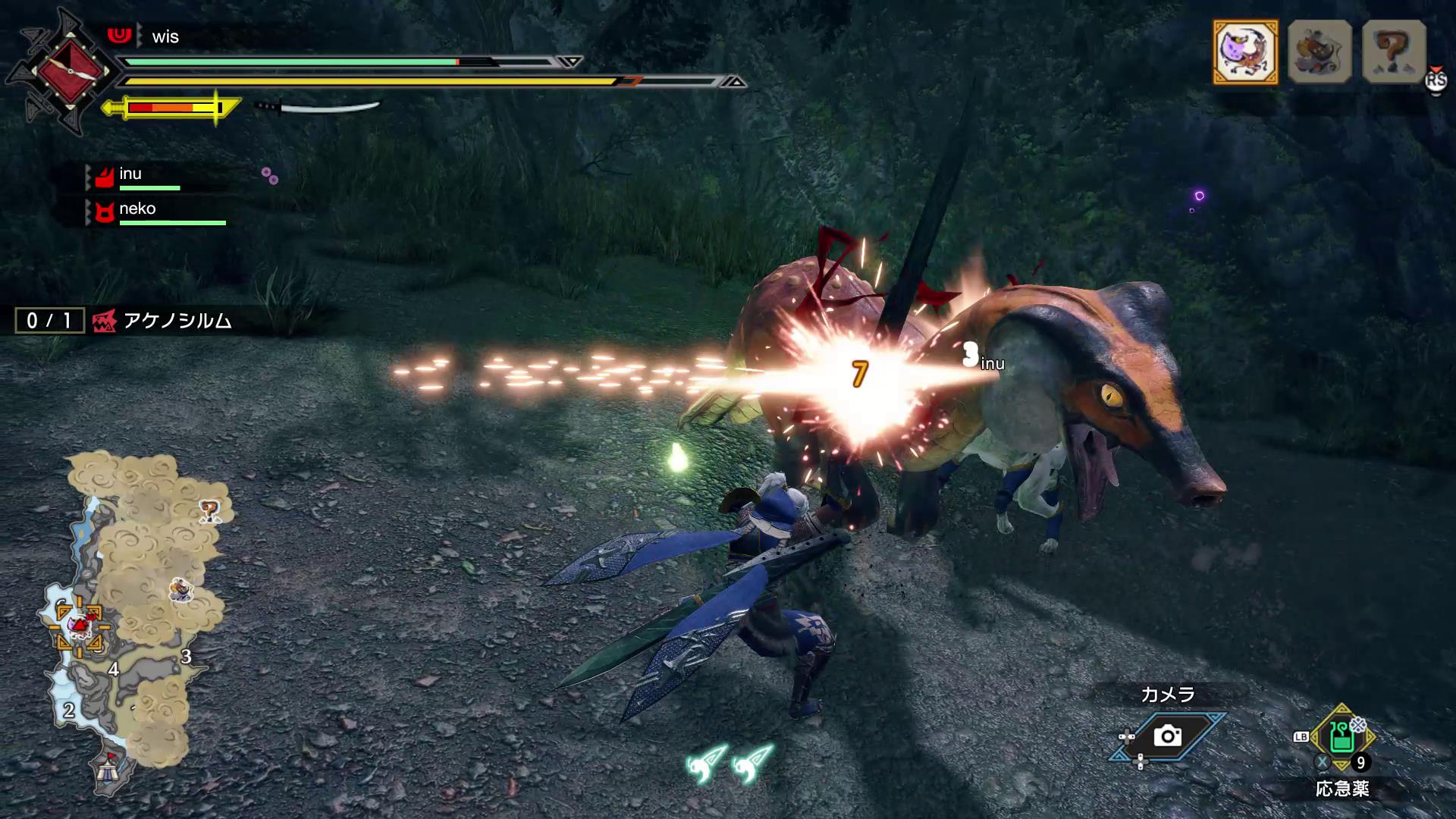 「ドスフロギィ」を追いかけて攻撃