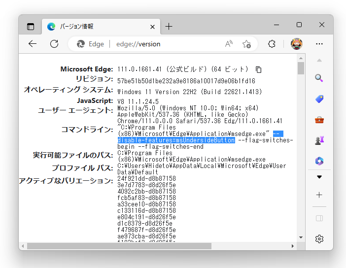 指定した起動オプションがちゃんと適用されているかは、「Edge」のバージョン画面の「コマンド」欄で確認