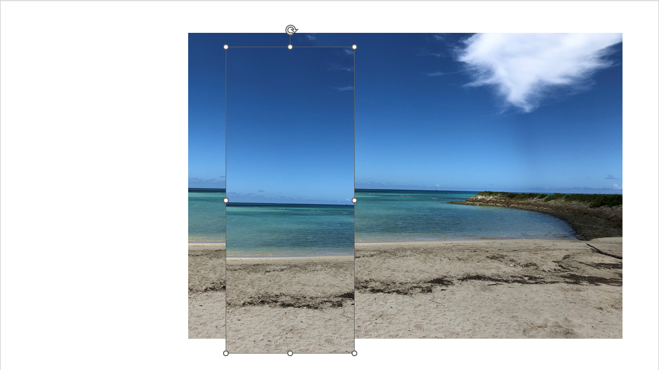並べた写真の一部をコピー＆ペーストする