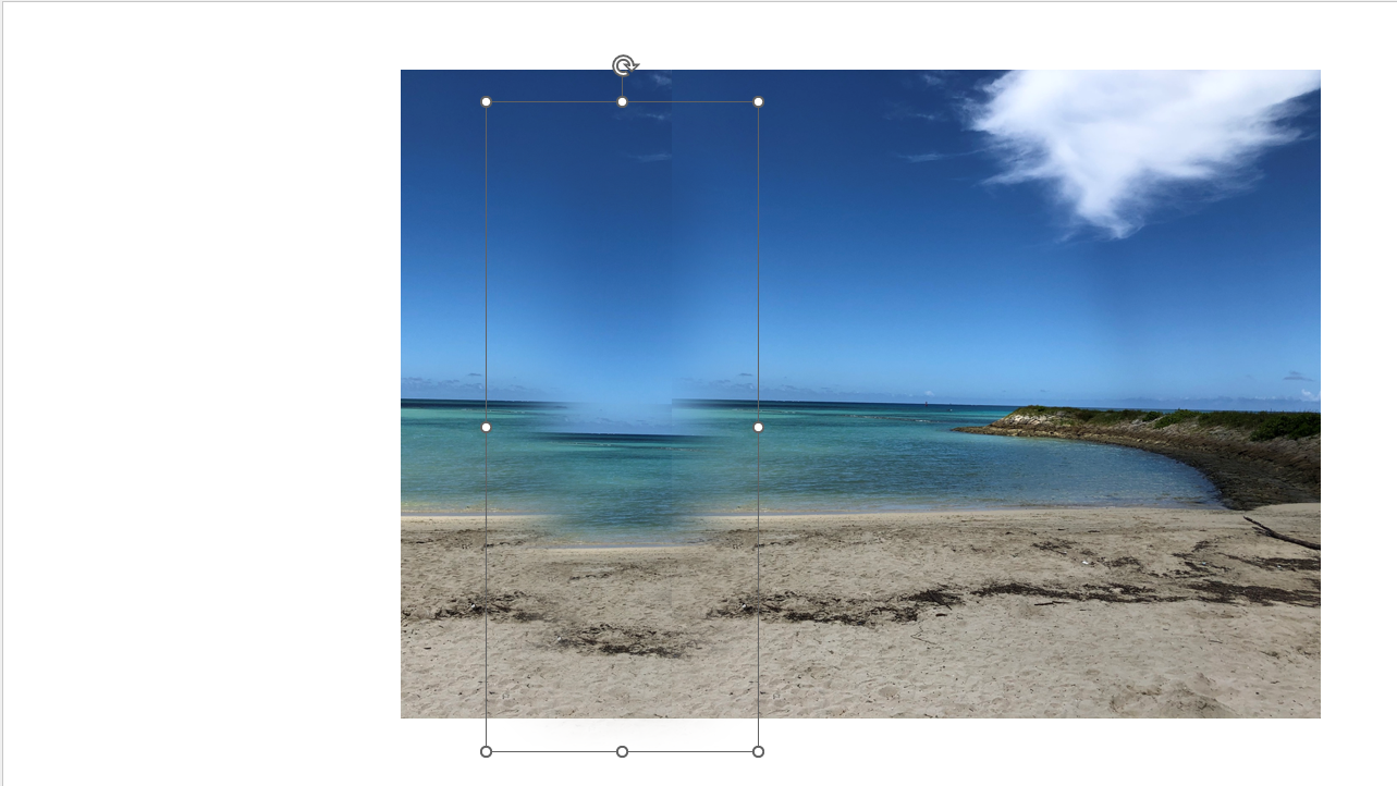 写真の周辺にぼかしの効果が適用された