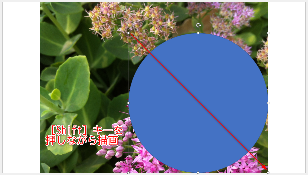 ［Shift］キーを押しながら、真円を描画する。位置とサイズを調整しておく