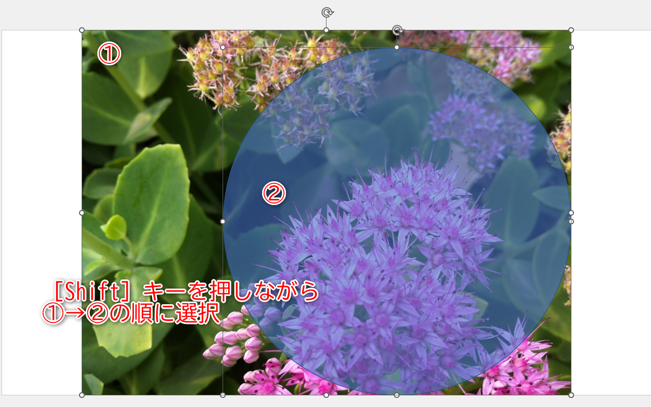 挿入した真円の位置が調整できたら、いったん選択を解除しておく。［Shift］キーを押しながら、写真（①）→真円（②）の順に選択する