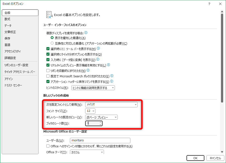 既定のフォントやフォントサイズ、ビューやワークシートの数はあらかじめ設定しておける