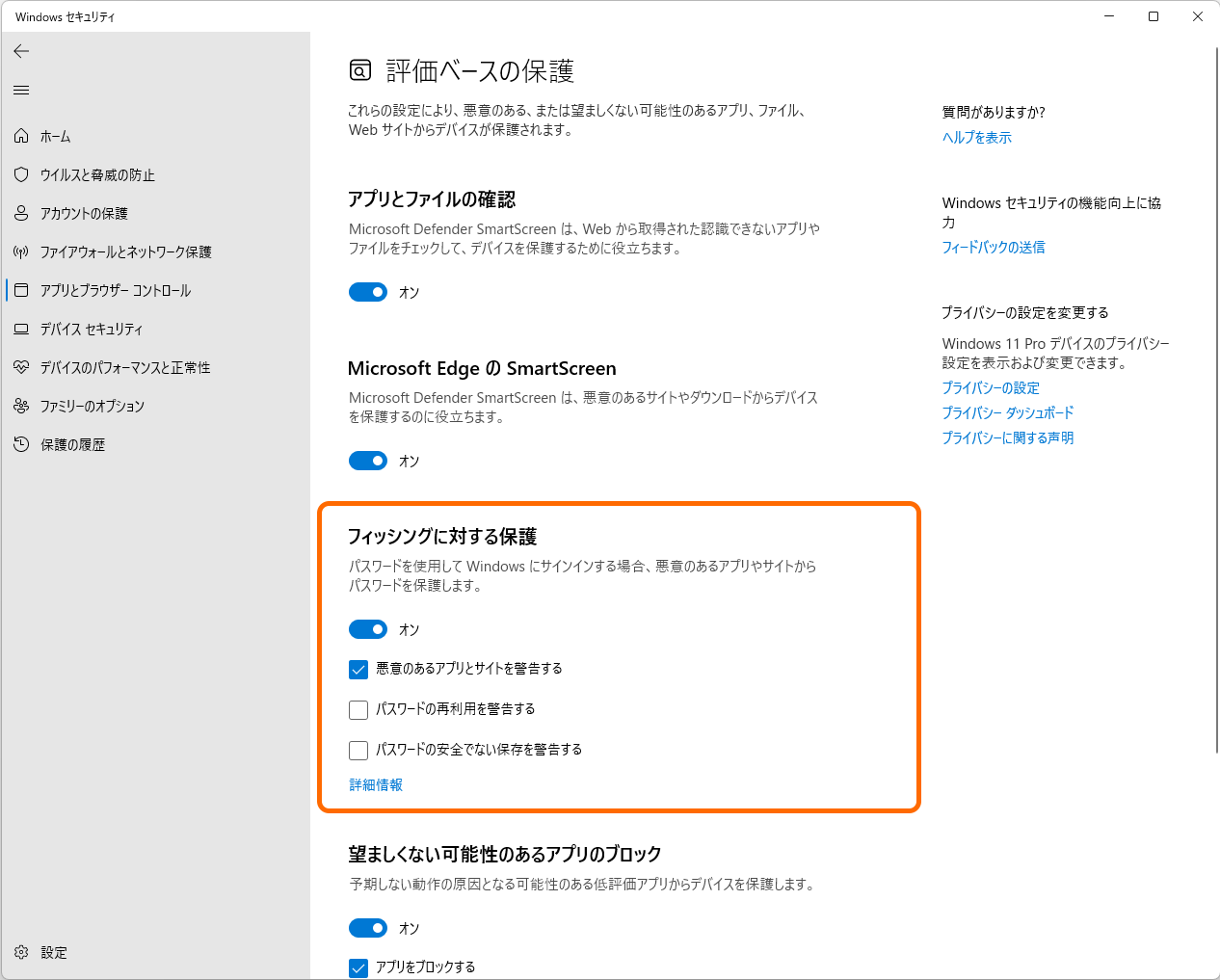 ［フィッシング保護］のオプションを有効化（スクリーンショットは製品版ビルドのもの）