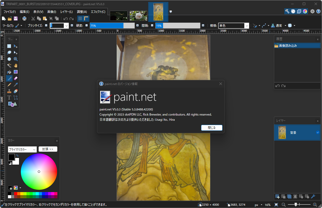 「paint.net」