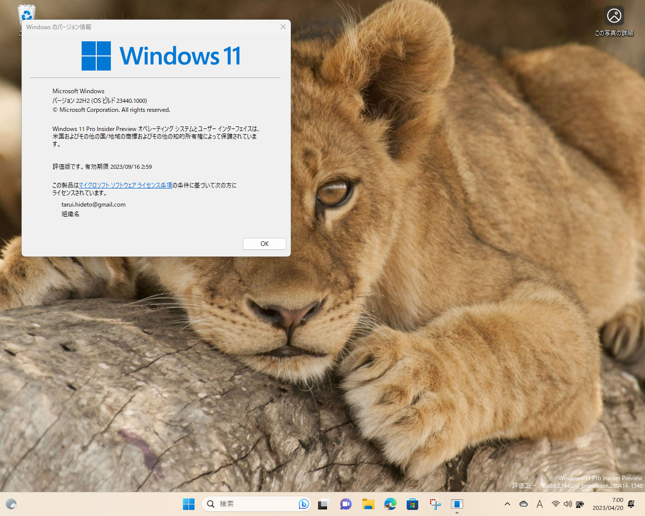「Windows 11 Insider Preview」Build 23440（ni_prerelease）がDevチャネルでリリース