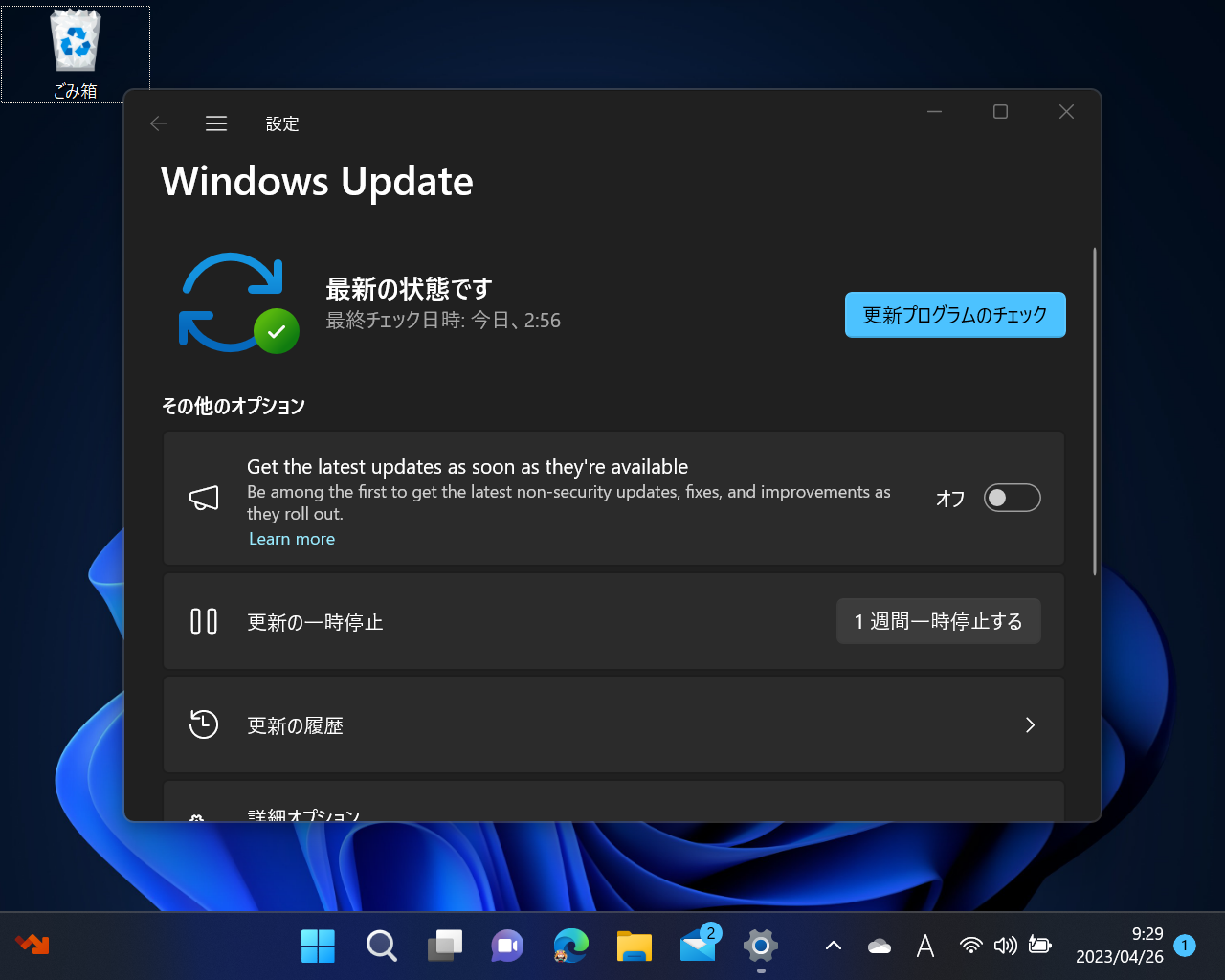 「Windows Update」に新オプション