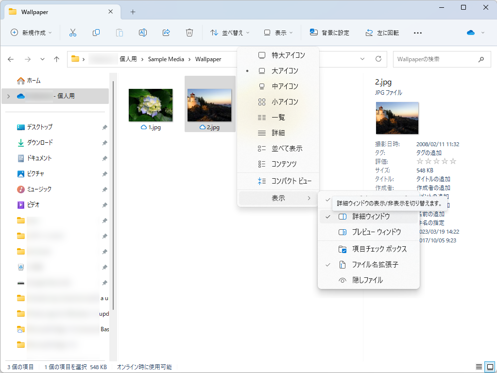 選択ファイルに関する情報をサイドパネルに表示する「詳細ウィンドウ」（現行のもの）
