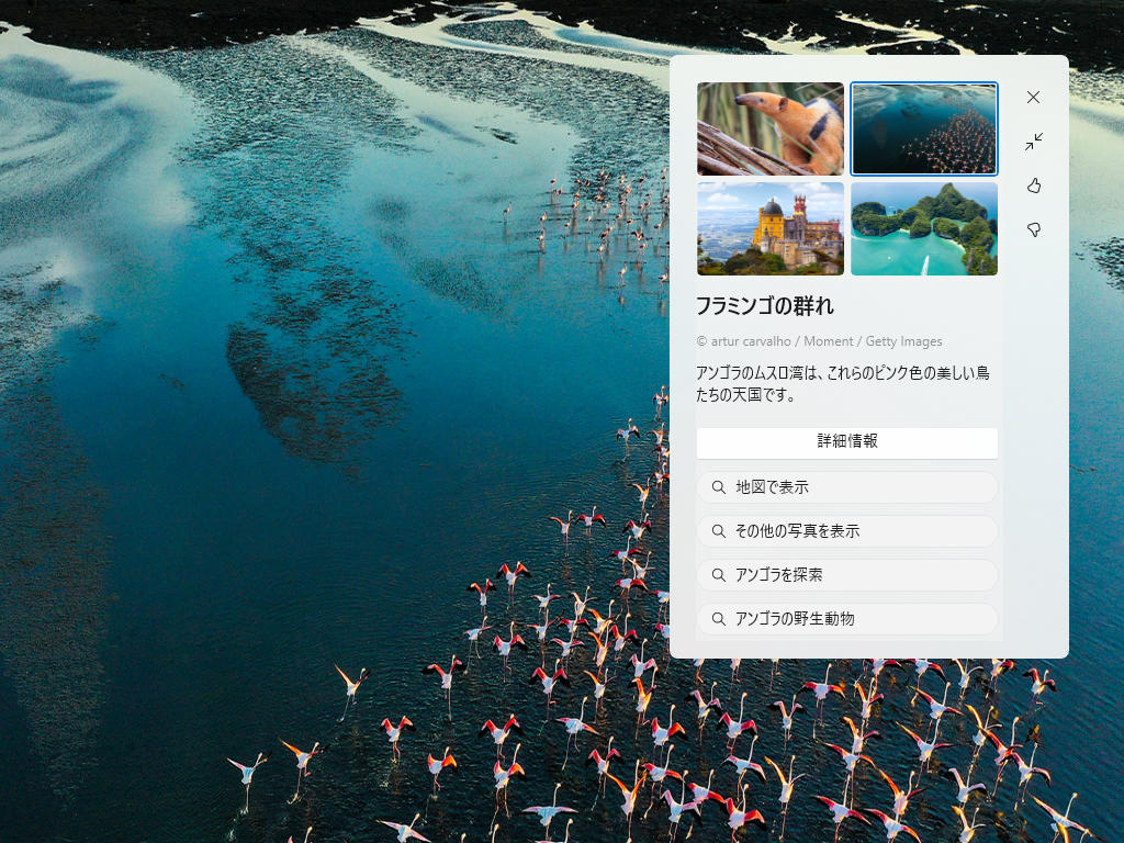 「Windows スポットライト」のビジュアル改善