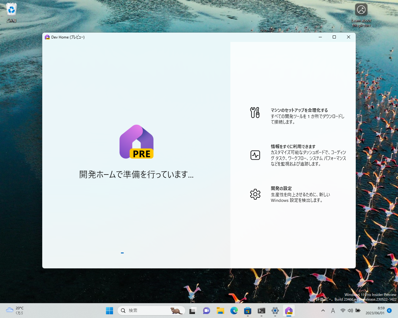 「Dev Home」アプリを「Microsoft Store」などから入手して起動