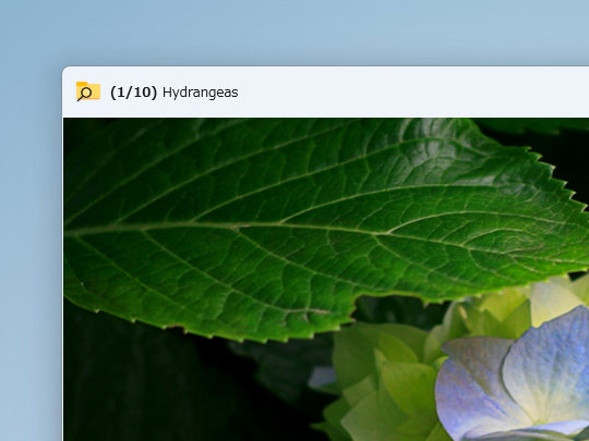 複数のファイルを選択した状態でプレビューした場合。左右キーでプレビューされるのは、選択ファイルのみだ