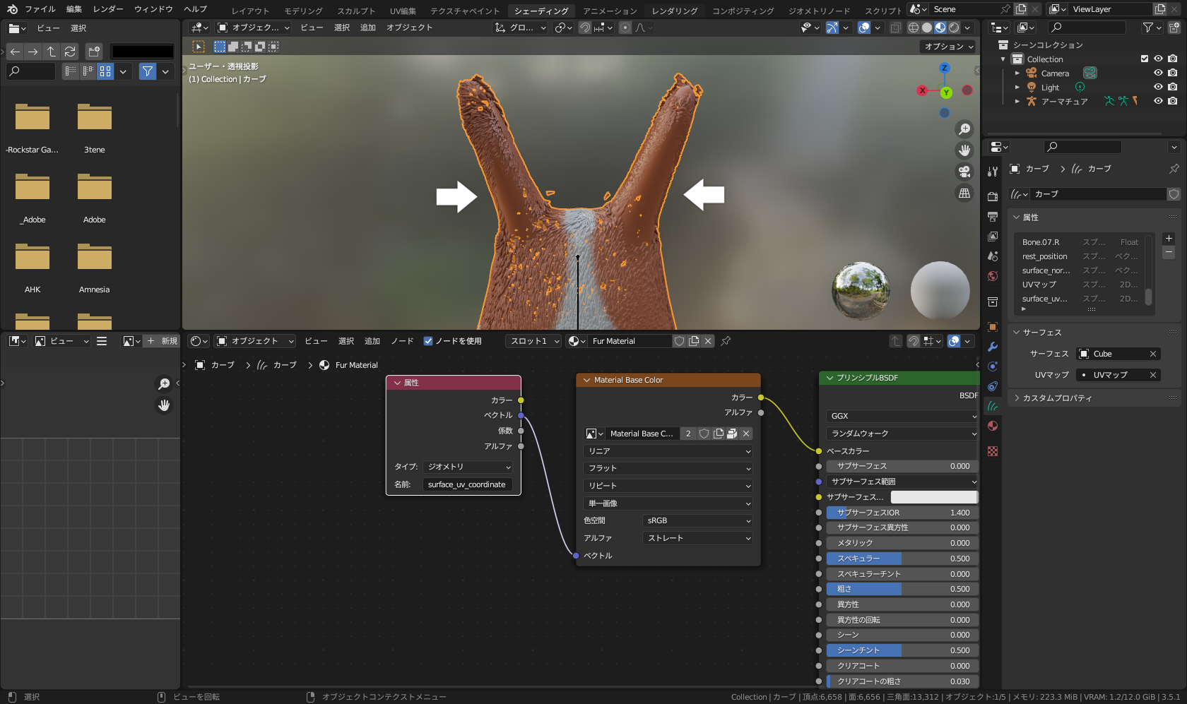 矢印の部分だけ毛がない