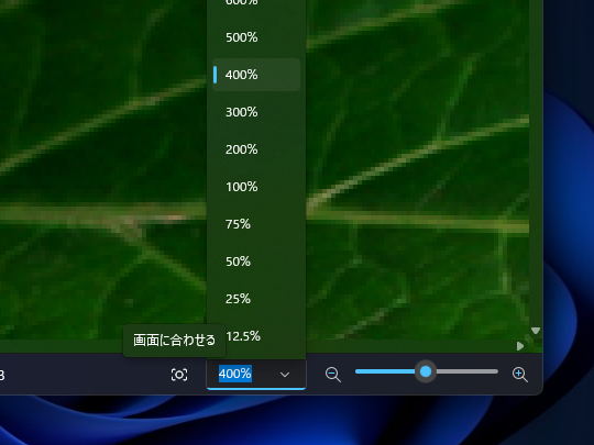 プルダウンメニューでもキャンバスの表示倍率を調整可能に。［画面に合わせる］オプションも導入