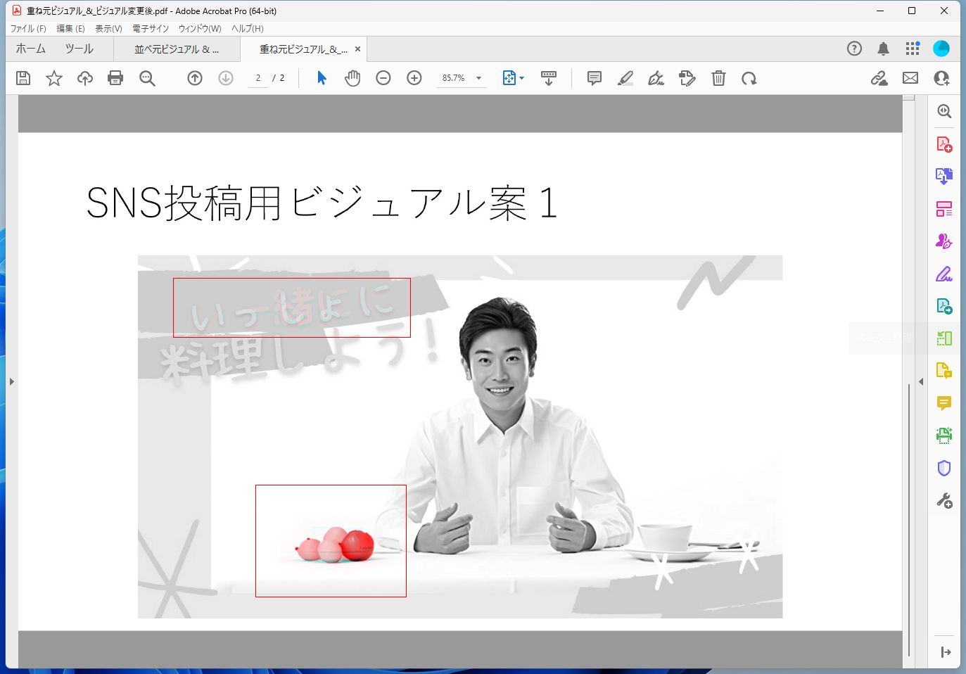 検出結果を重ねて表示したPDFの画面