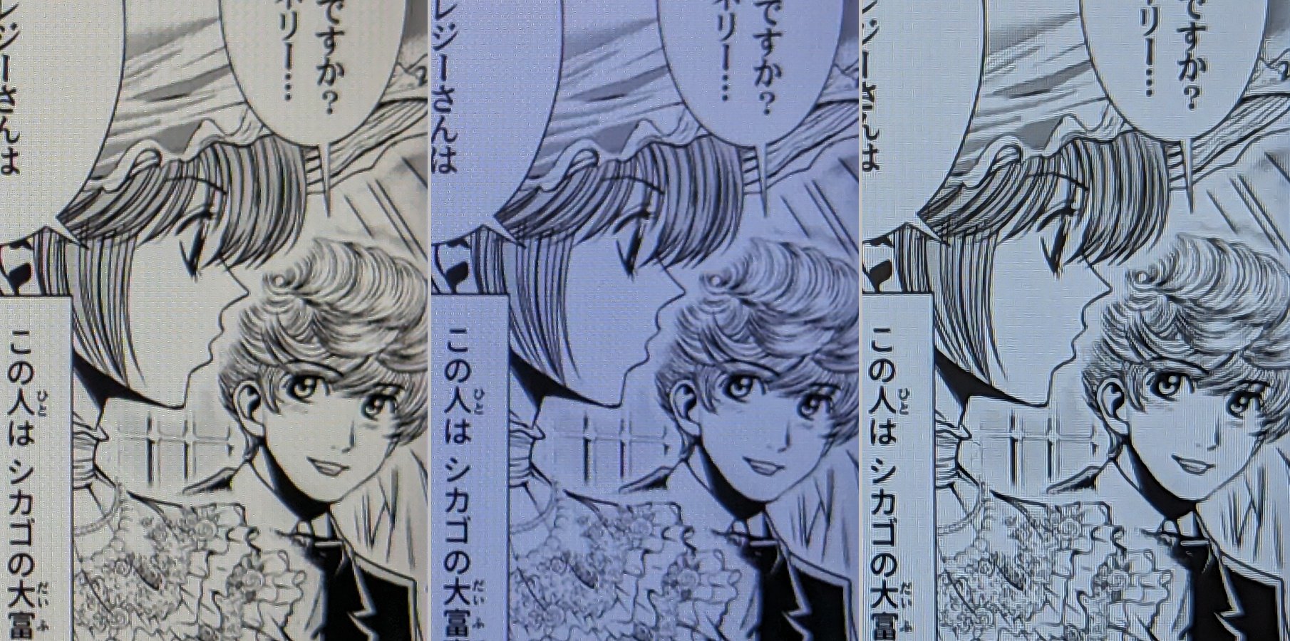 単ページ表示での画質の比較。色味こそ違うが、解像度は横並びとあって、細部のディティールに差はない