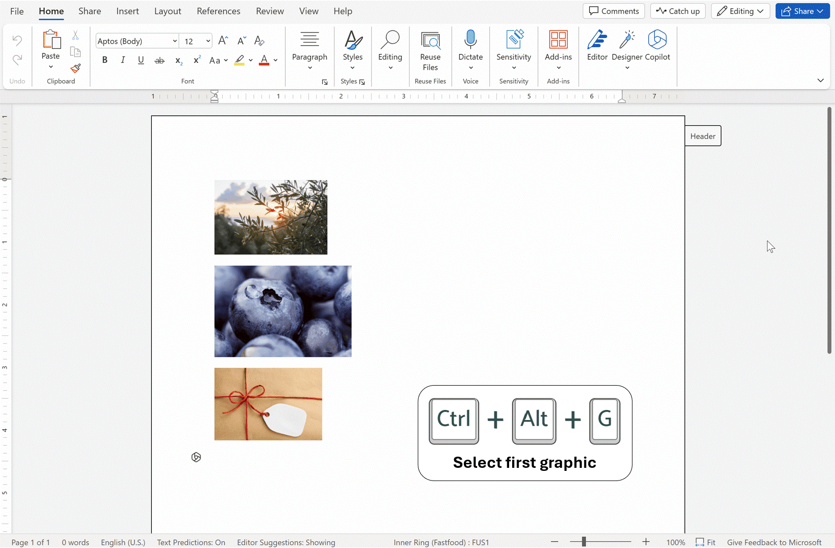 ［Ctrl］＋［Alt］＋［G］キーで画像選択モードを開始