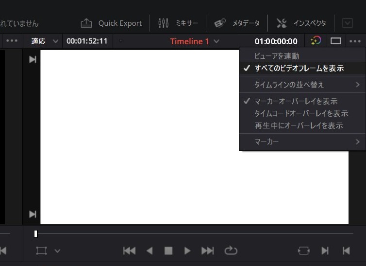 ［すべてのビデオフレームを表示］にチェック