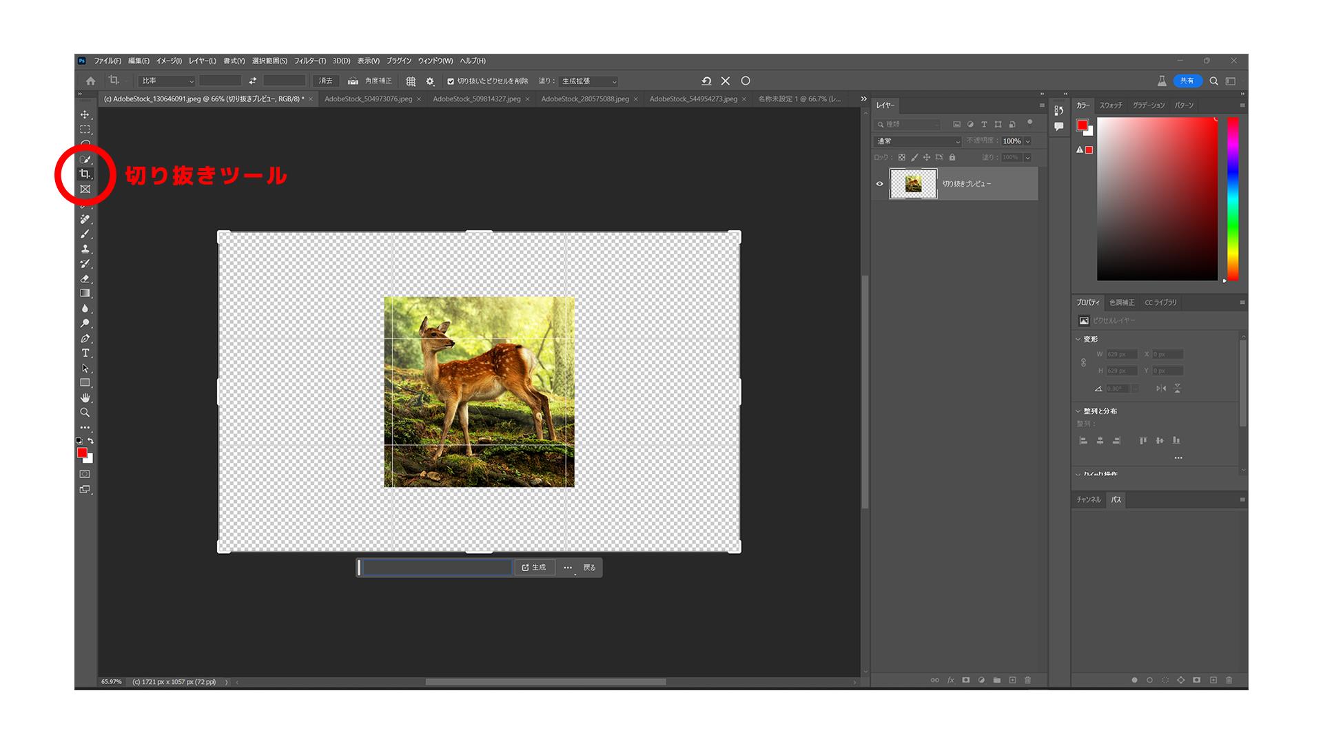切り抜きツールでカンバスサイズを拡張
