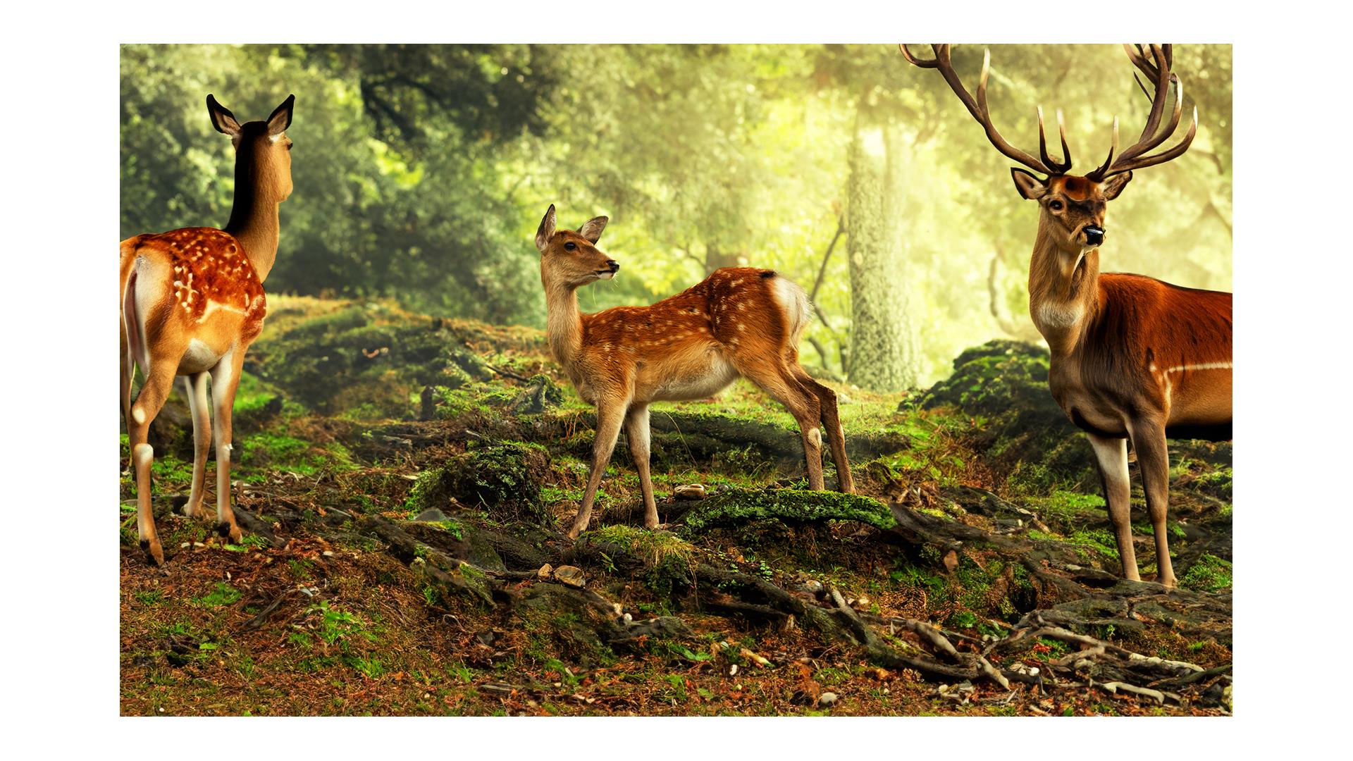 プロンプトに「鹿」と入力して生成した結果になります