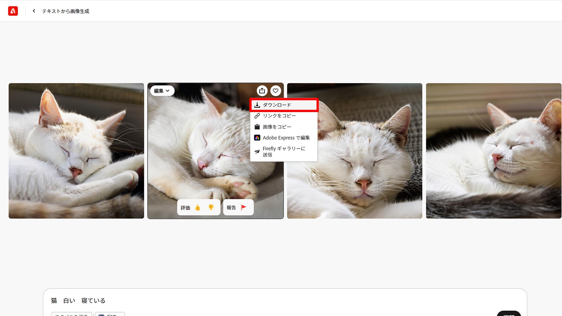 気に入った画像はダウンロード可能です