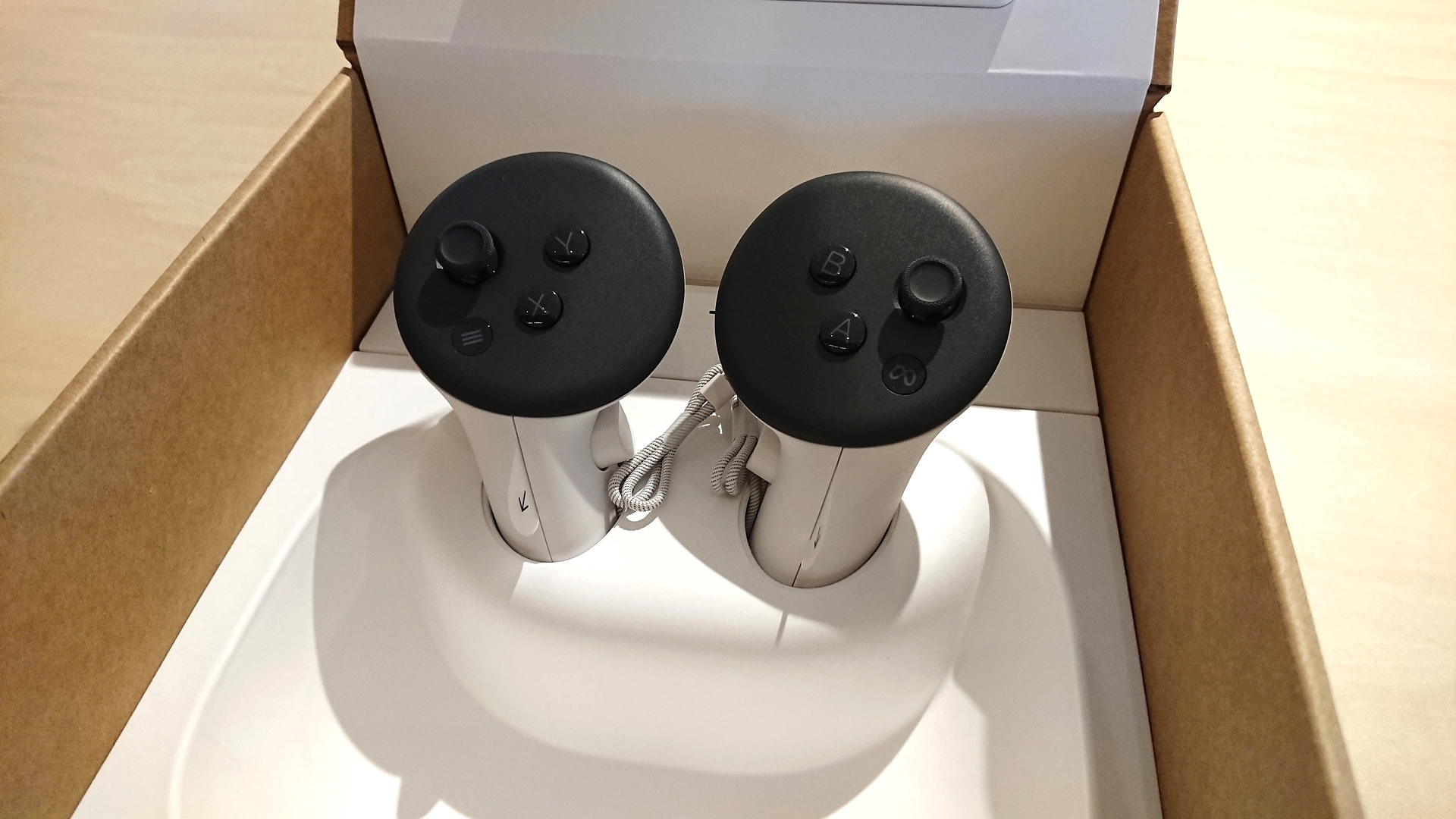 可愛く収まっている「Touch Plusコントローラー」