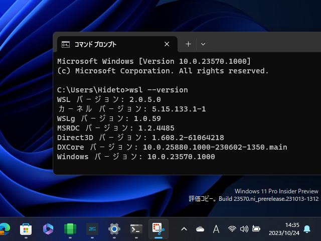 「Windows Subsystem for Linux」v2.0.5