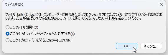 ファイルを開くときの確認画面。常に許可する設定も可能