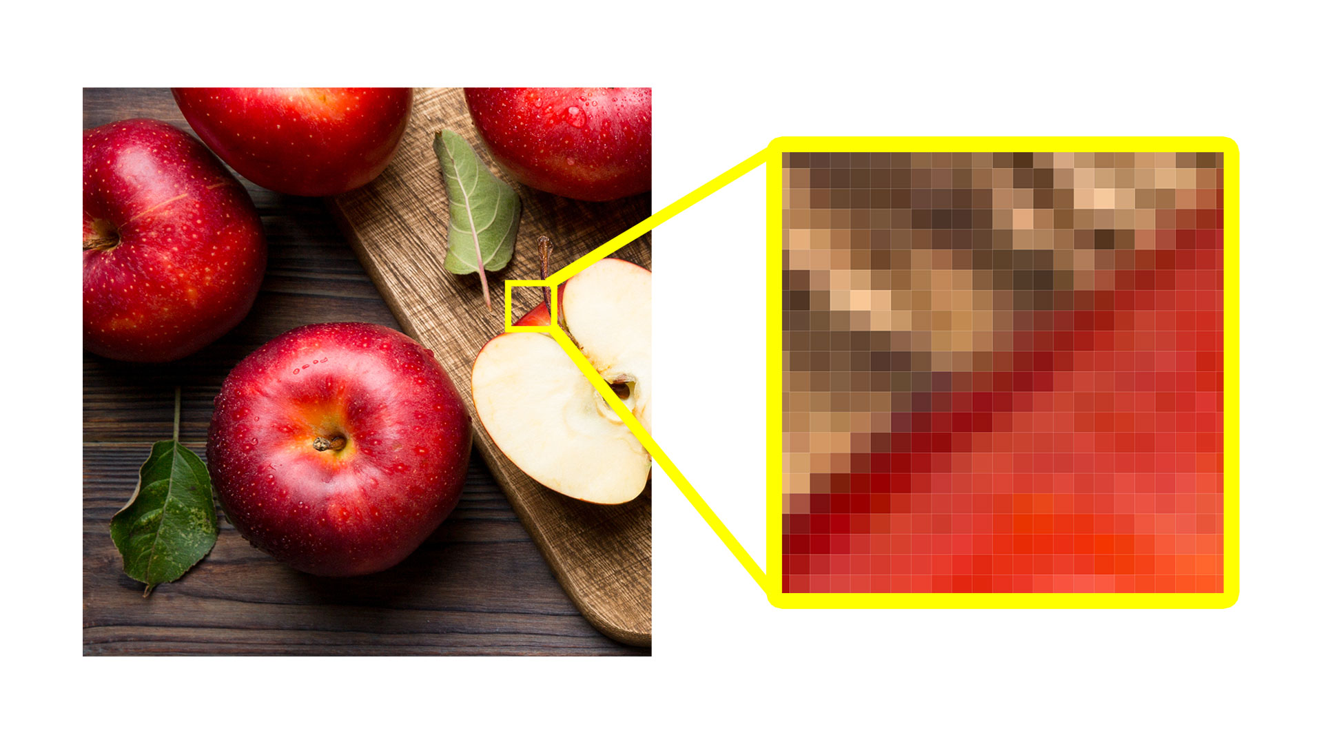 Photoshopが得意とするビットマップ画像。拡大するとピクセルで構成されていることがわかります