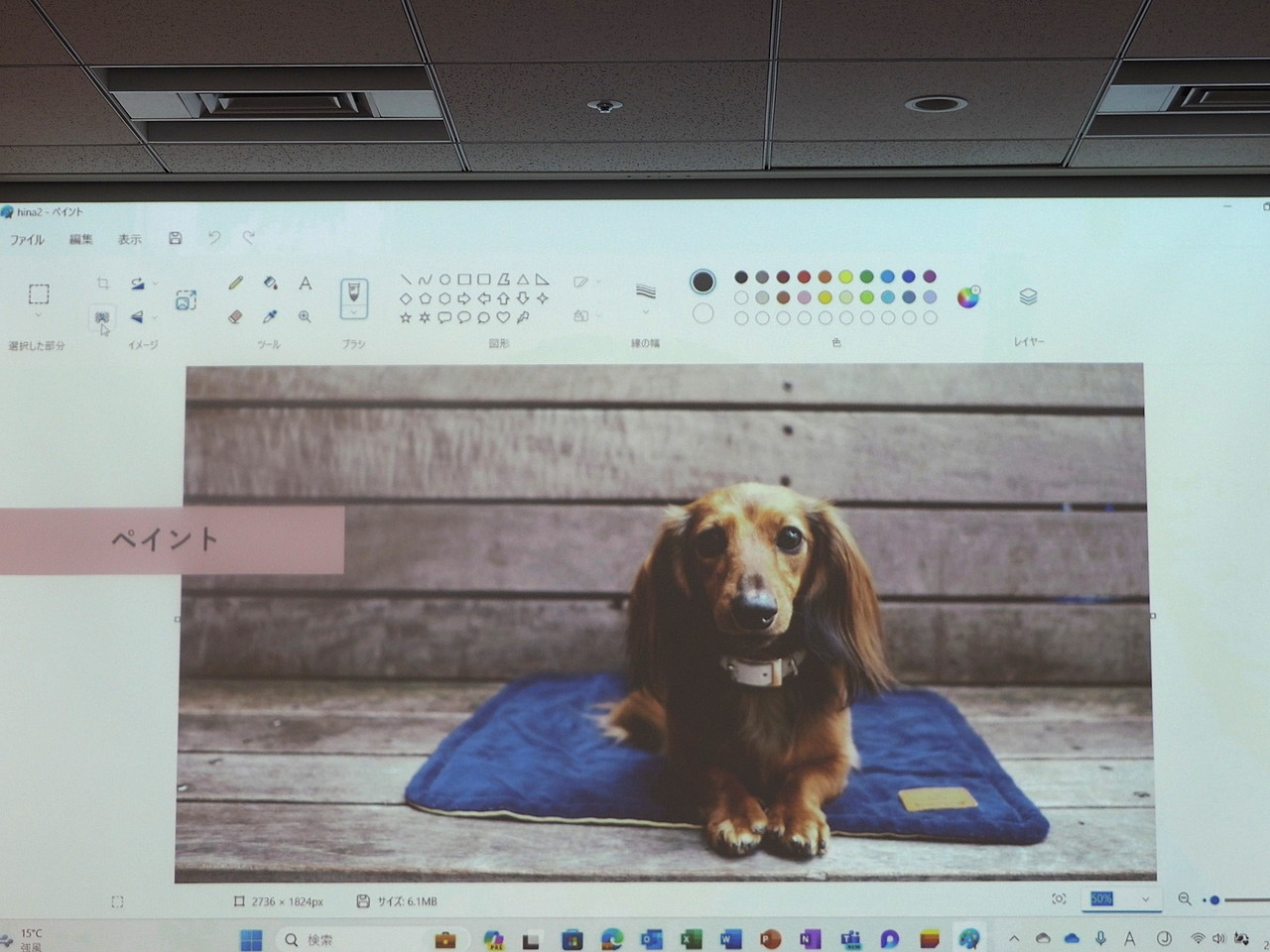 「ペイント」では、自動で背景から画像を切り抜くことができるようになった