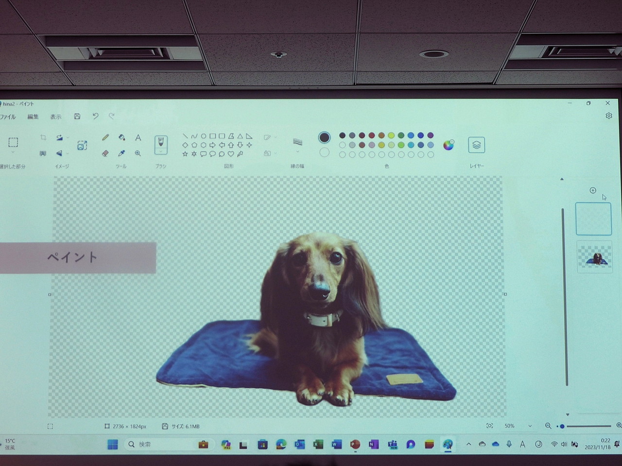 画像を切り抜いたところ