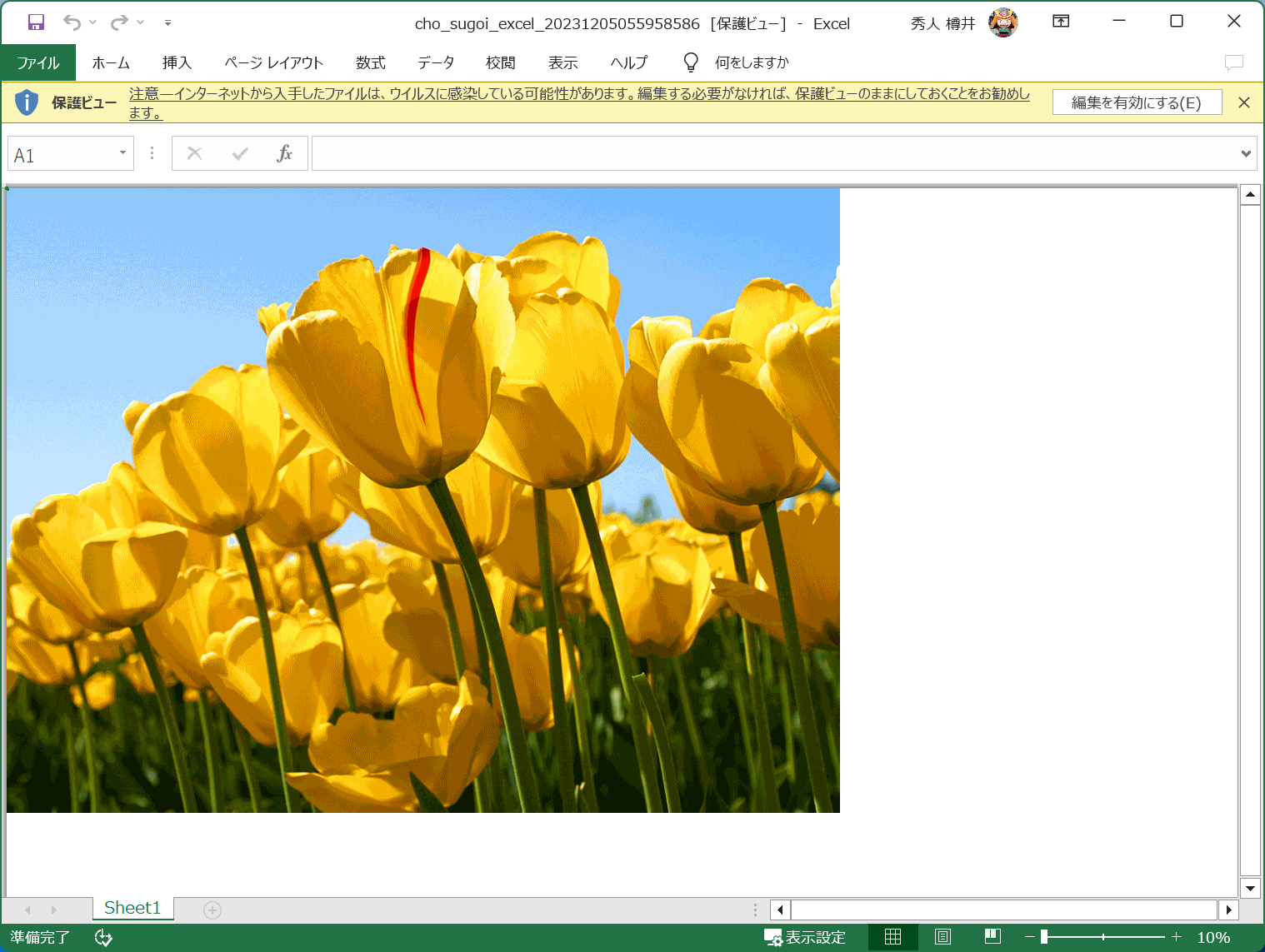 かつてのWindowsに同梱されていたサンプル画像「チューリップ」を変換。「Excel」でちゃんと表示できる