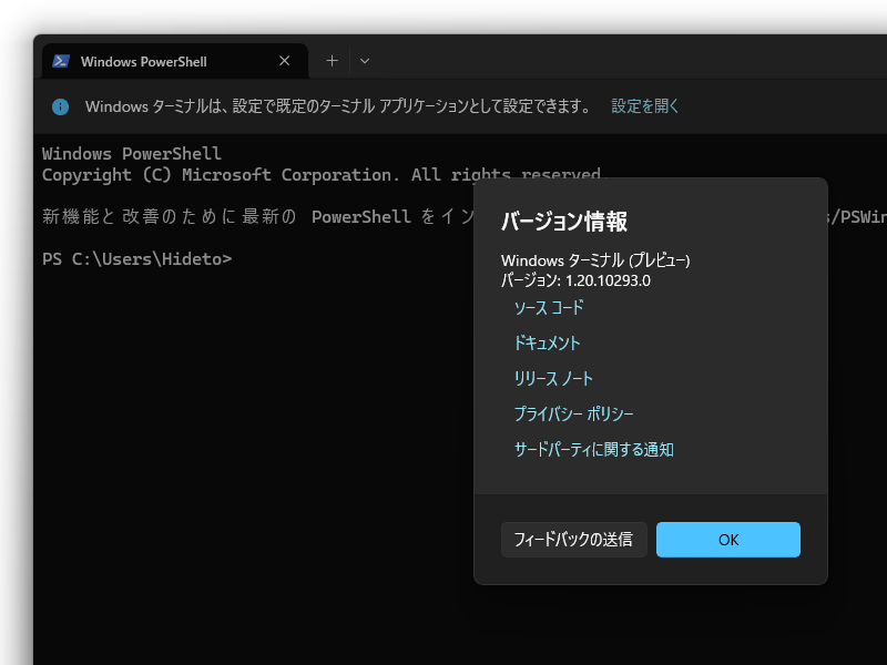 「Windows Terminal Preview」v1.20.10293.0