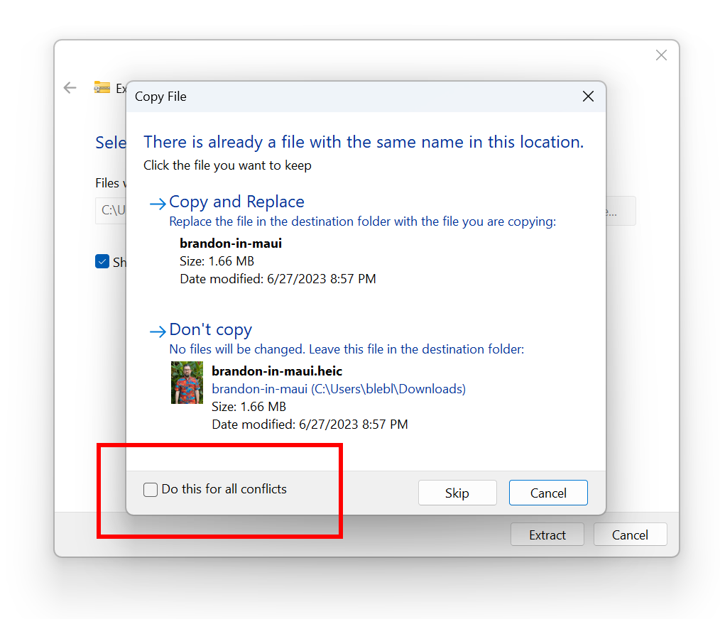書庫ファイルの解凍処理でファイル名の競合がある場合の新オプション