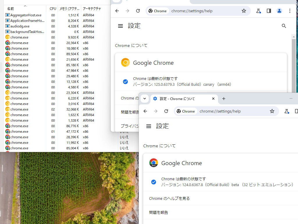 x86版のBetaビルドとARM64版のCanaryビルド