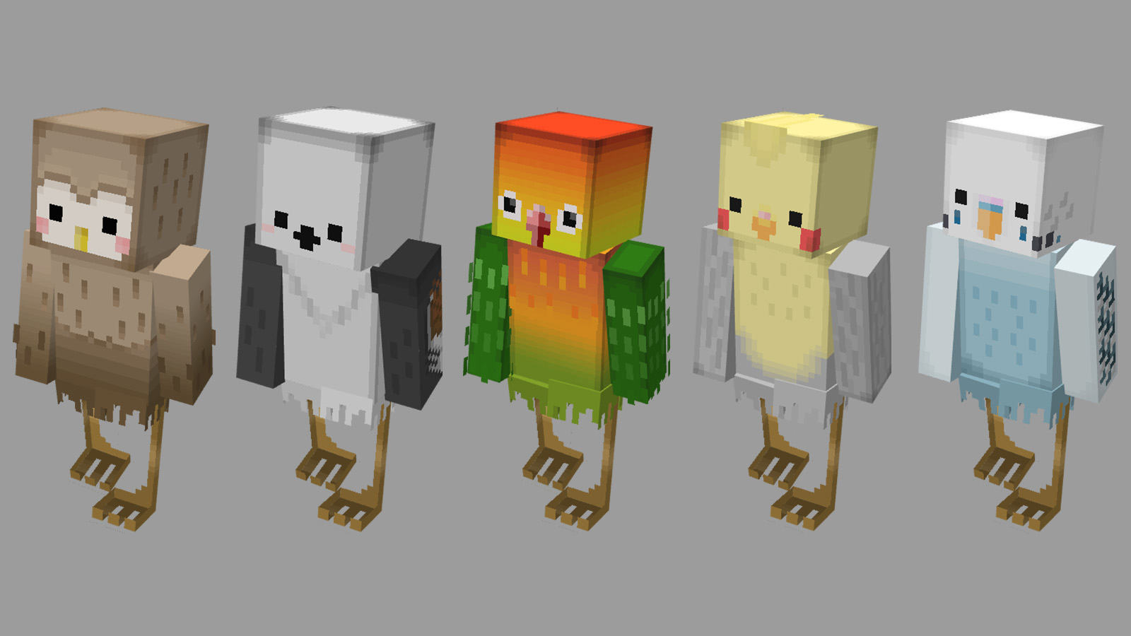 左から、フクロウ、シマエナガ、オウム、オカメインコ、セキセイインコ