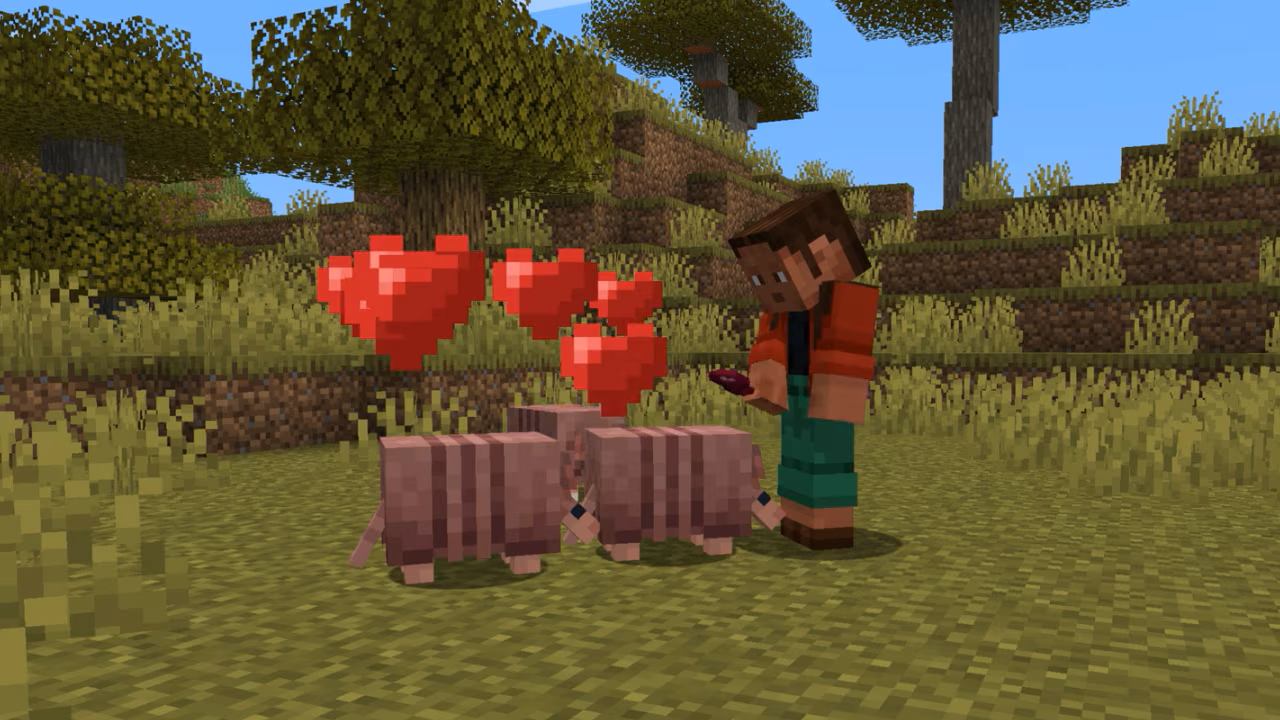 クモの目をエサとしてあげられる