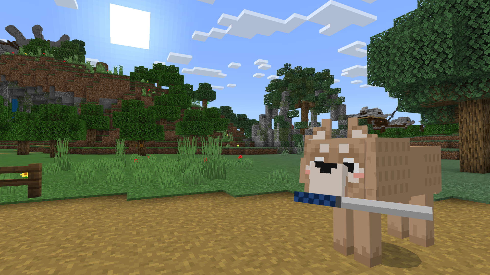 可愛い相棒とともに冒険の世界へ